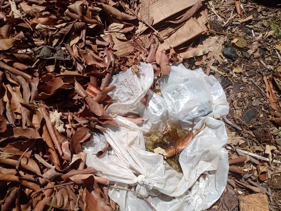 Foto 4 de 12 — Moradores reclamaram do abandono de antigo campo de futebol, na Vila Xavier